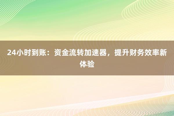 24小时到账：资金流转加速器，提升财务效率新体验
